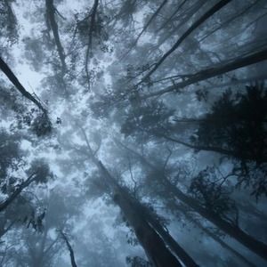 Meet your Posher, Jessa